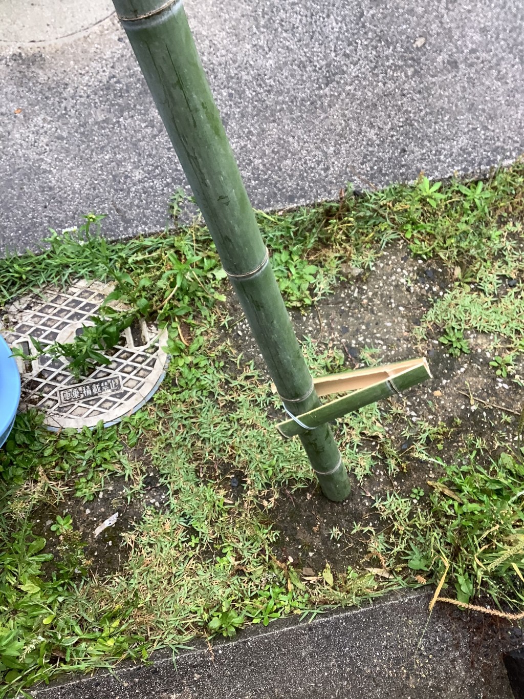 初めてのことに挑戦！