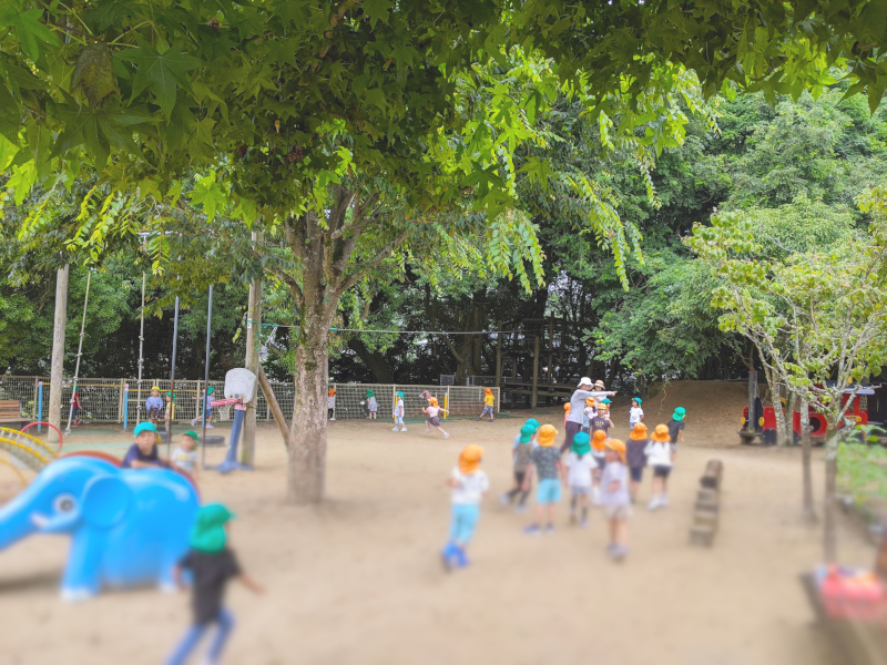 姫井保育園で育つ力