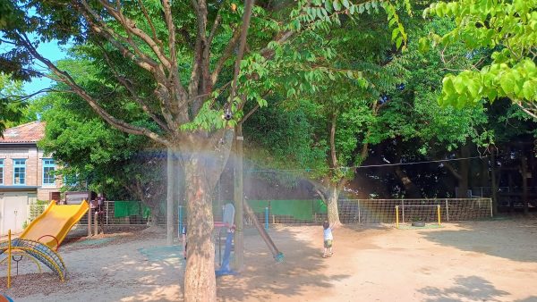 それやってみよう